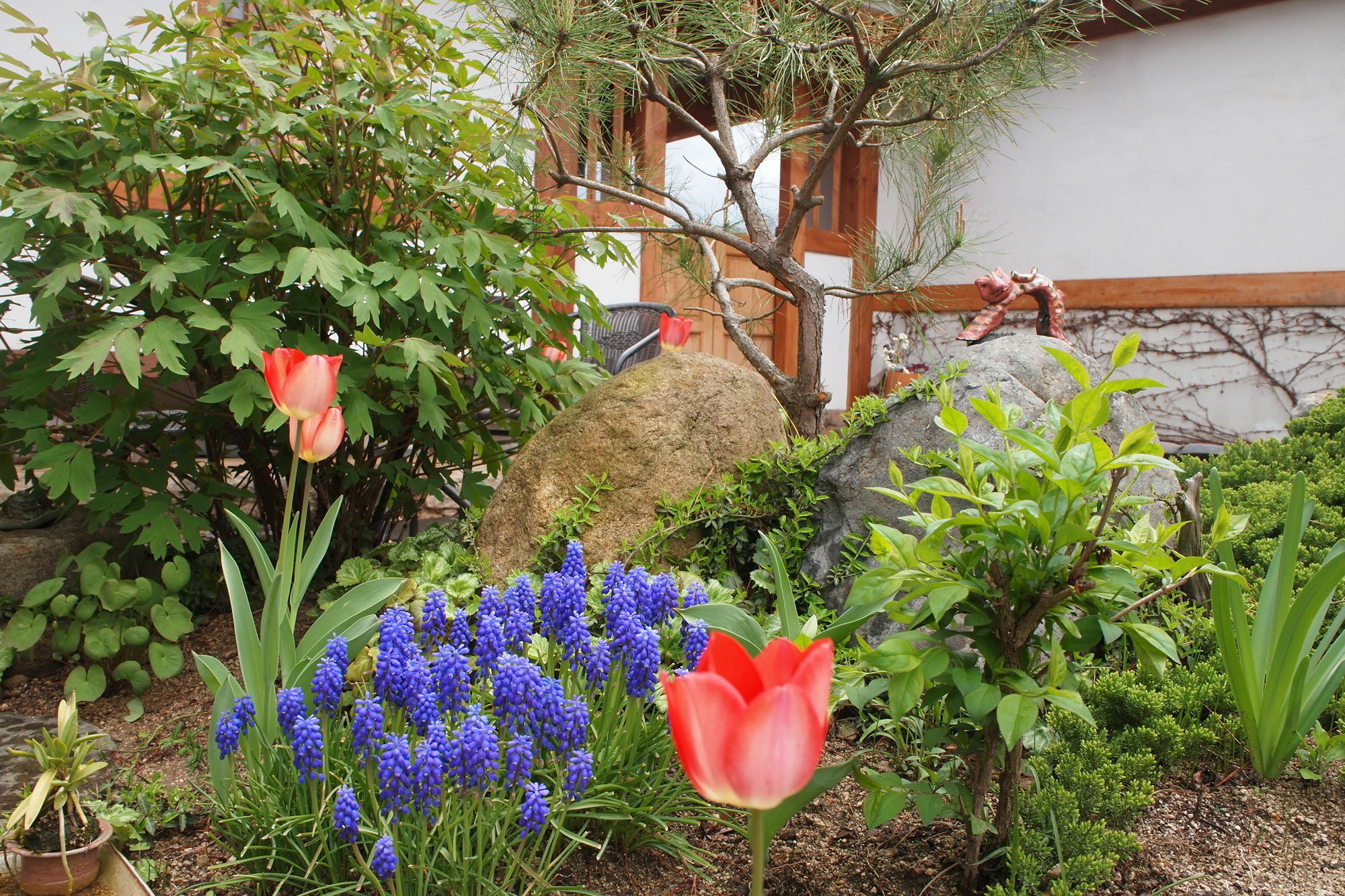 Floral Space Hanok Guesthouse Gyeongju Exteriör bild