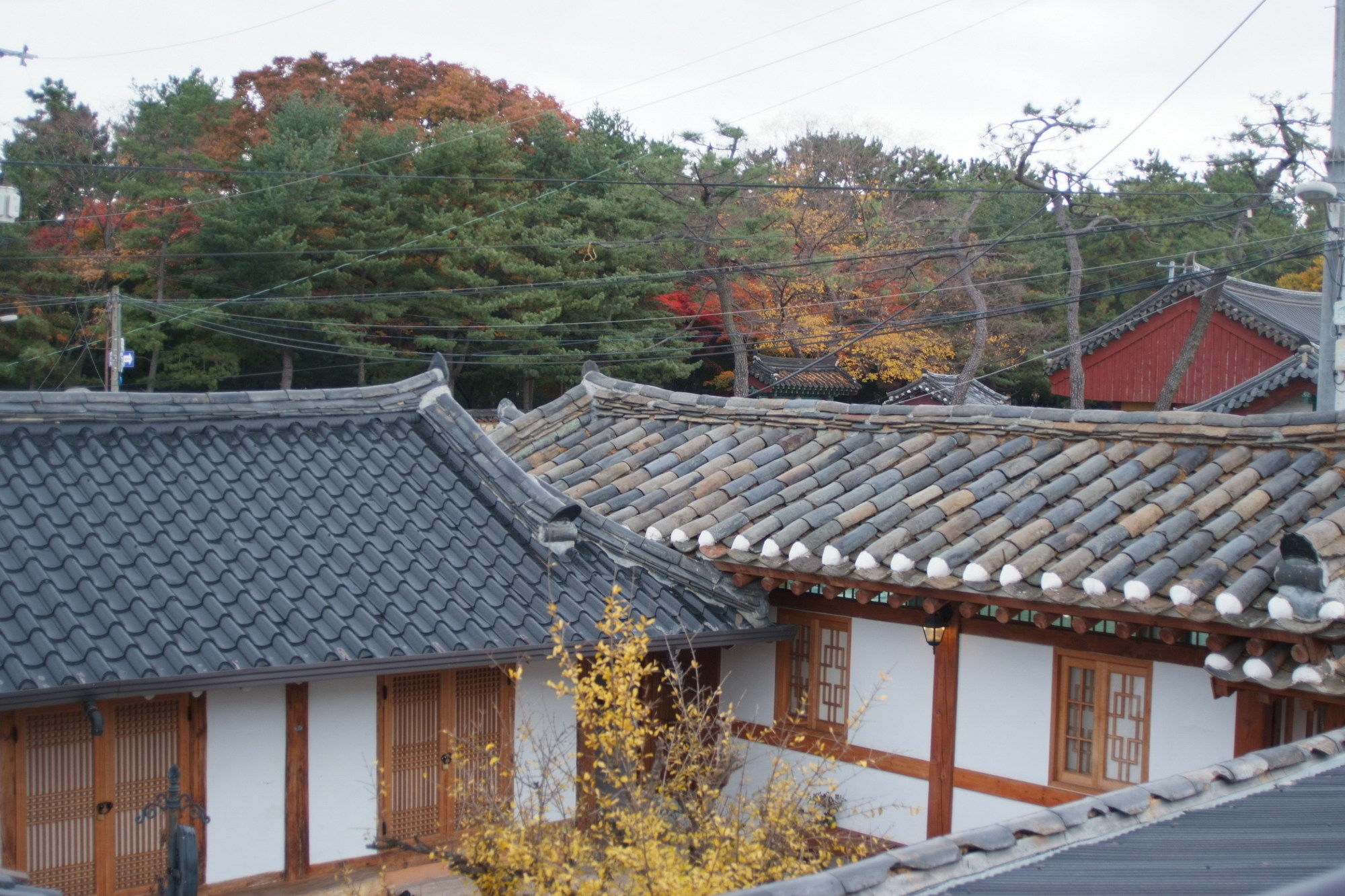 Floral Space Hanok Guesthouse Gyeongju Exteriör bild
